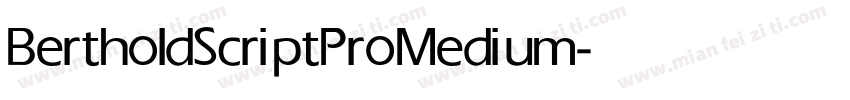 BertholdScriptPro Medium字体转换